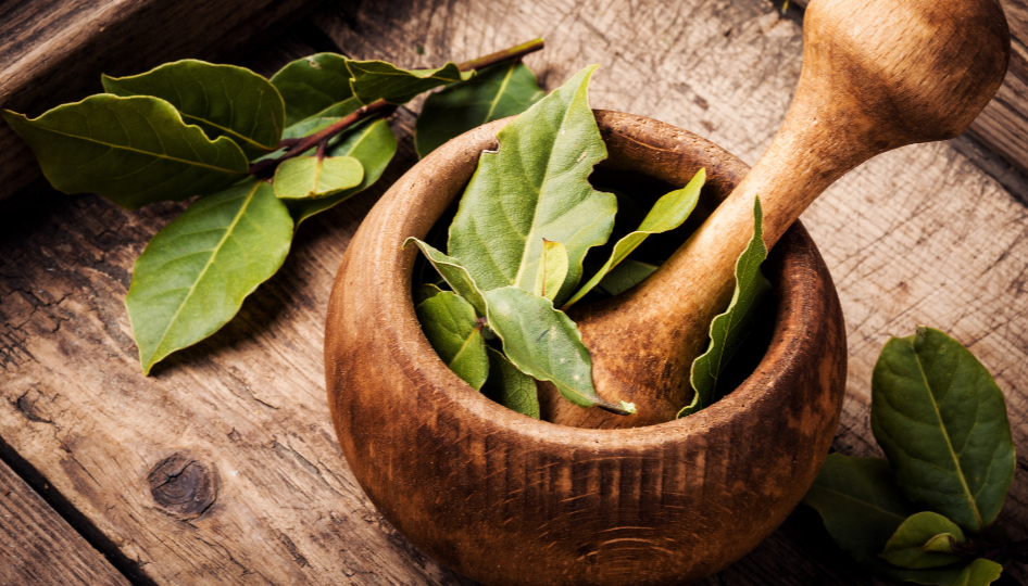 Rejuvenation Cream